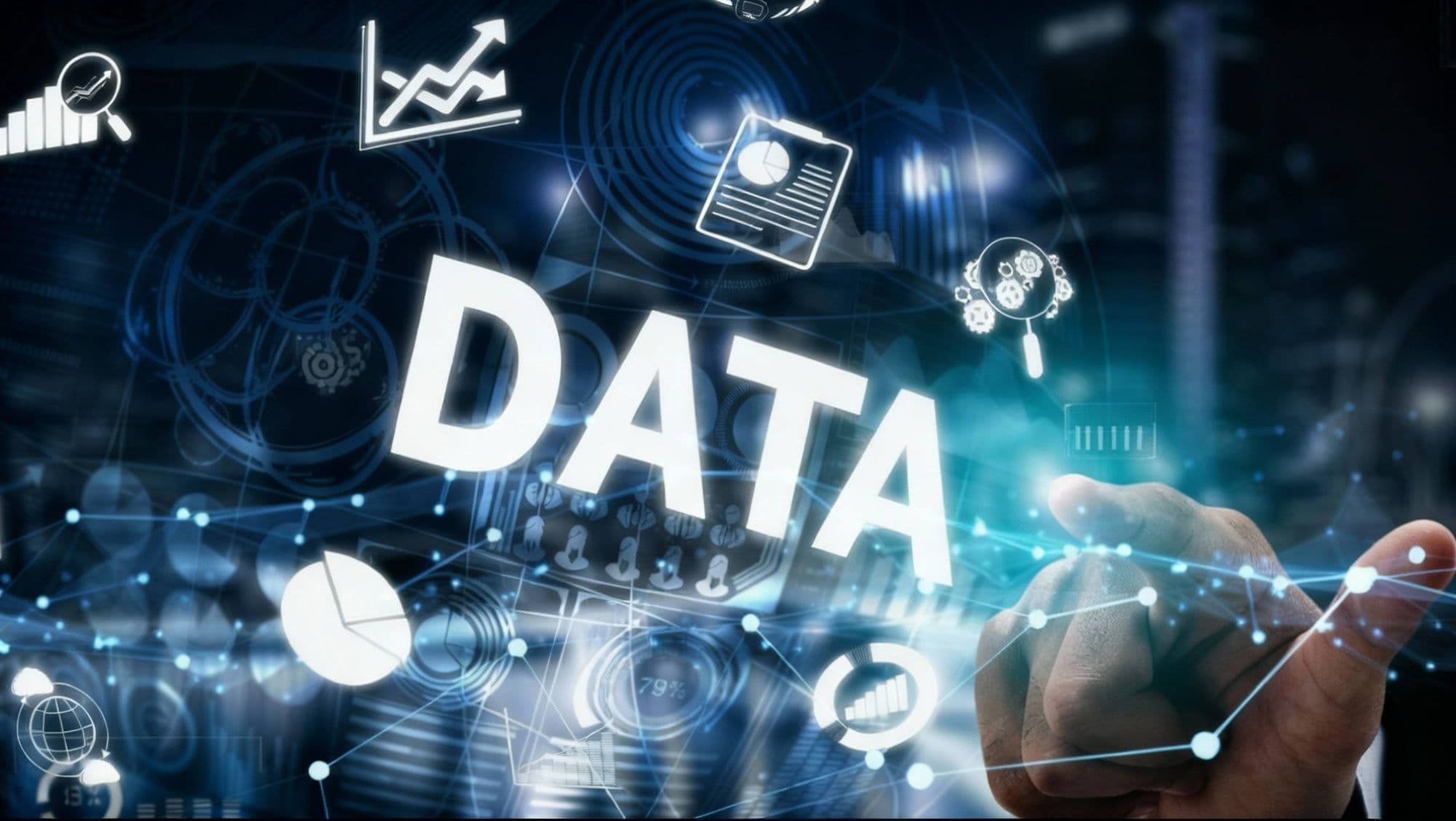 What Are 5 Examples of Data?