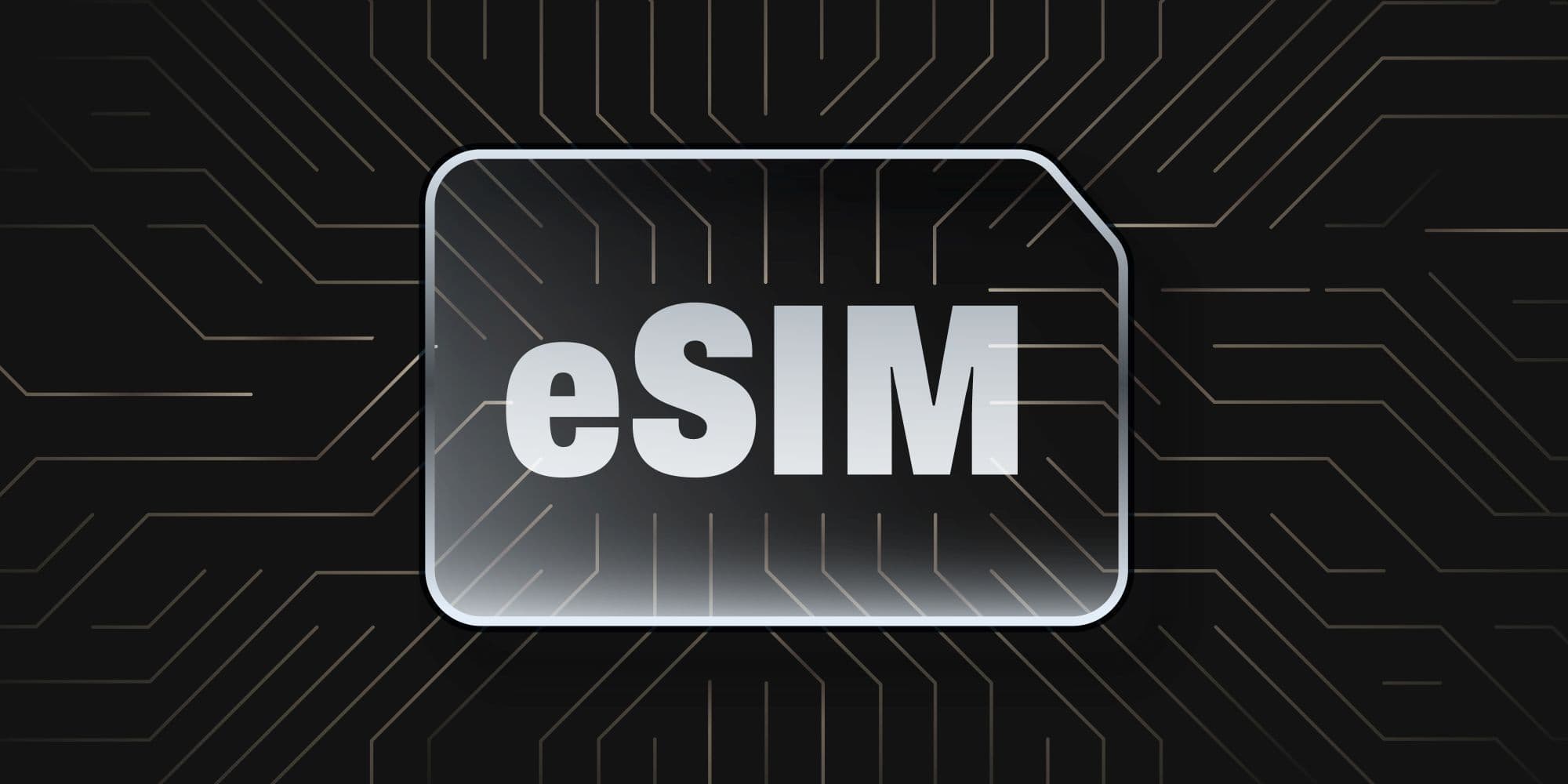 How Do You Find Your eSIM Details?