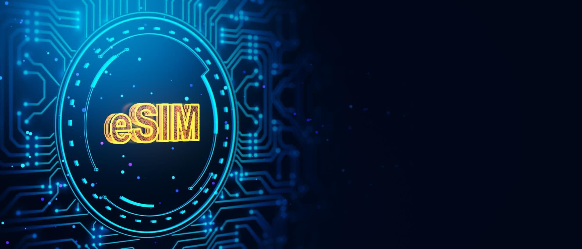 How Do I Find Out My eSIM Mobile Number?